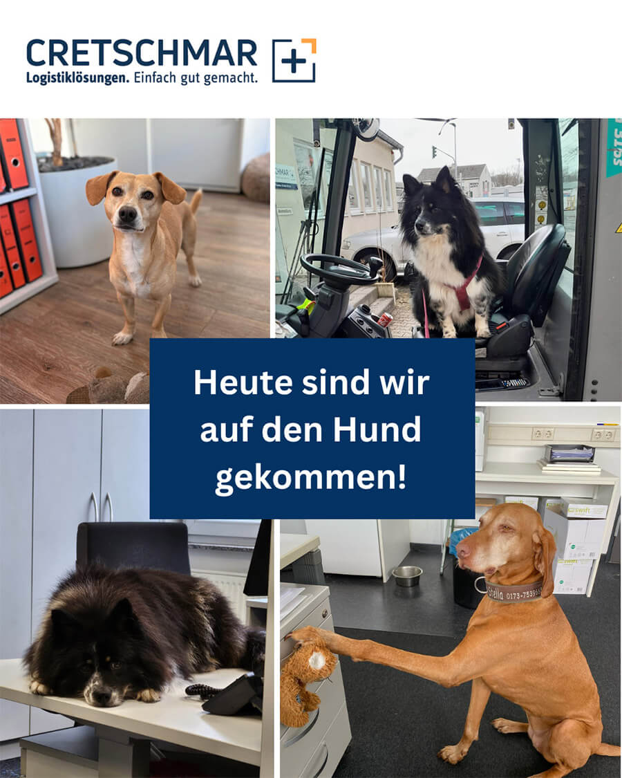 „Nimm-deinen-Hund-mit-zur-Arbeit“-Tag 